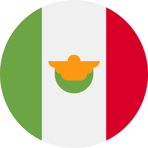 Puerto Vallarta Flag